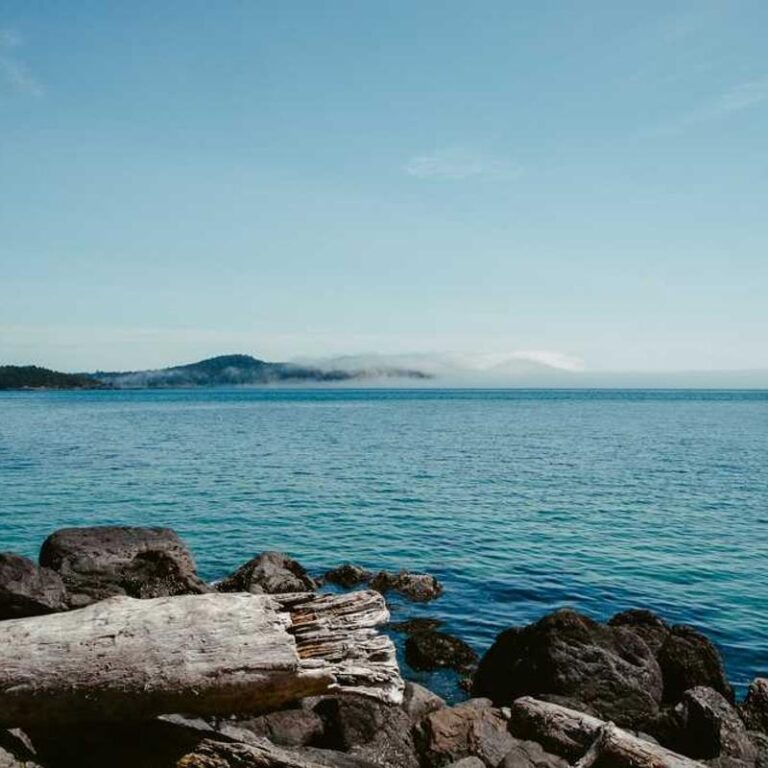 How Rising Interest Rates Affect Small Investors